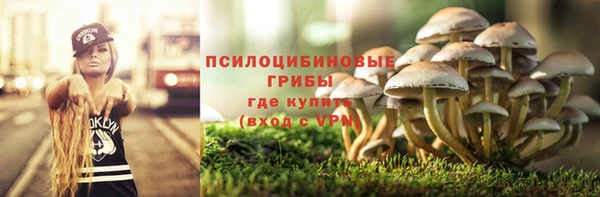 дживик Балабаново